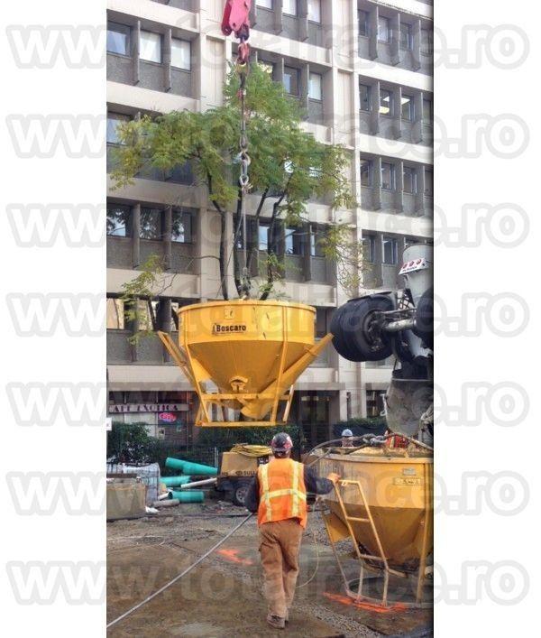 Total Race  comercializeaza din stoc Bucuresti sau la comanda, bena beton utilaje de constructii,   bene beton cu jgheab productie Italia, cupa de beton pentru macara, cupe de beton jgheab, bene de beton, cupe macara, bena macara jgheab , bena cu descarca