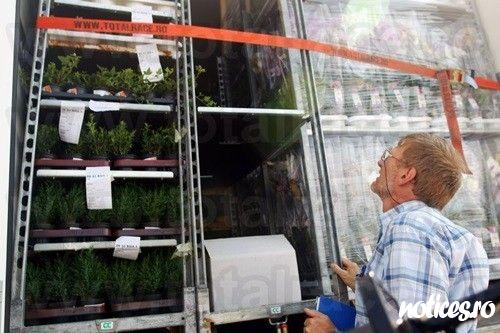 Chingi de ancorare marfa delimitare spatiu pentru transport
