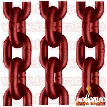 Total Race comercializeaza lanturi grad 100 productie Crosby , lant grad 100 gama completa 7 mm-32 mm , lant cu capacitate de ridicare intre 2 tone si 40 tone , echipamente de ridicat din lant grad 100 si accesorii : carlige Clevis siguranta , carlig ochi
