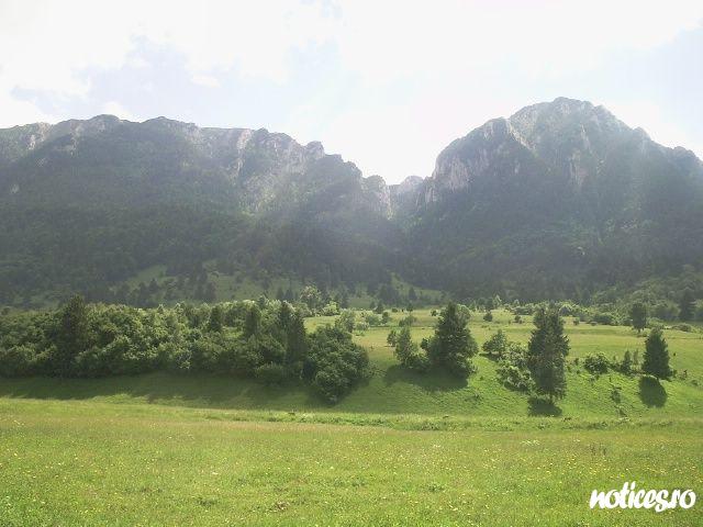 panorama