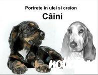 Portrete de caini