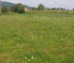  Vand teren intravilan in Com. Stoenesti, Jud. Arges
