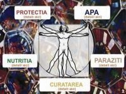 SANATATE PRIN PRODUSE NATURISTE