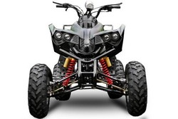 ! OFERTE SPECIALE DE PASTE ! Atv Nitro Motors Akp Warrior 250Cc Cutie Manual 4+1