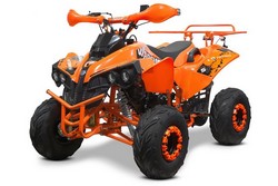 Atv 125Cc Renegade Sport
