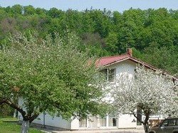 Vand vila submontana 5755mp teren plat