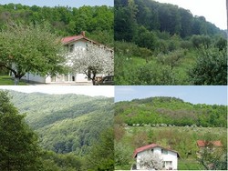 Vand vila submontana 5755mp teren plat
