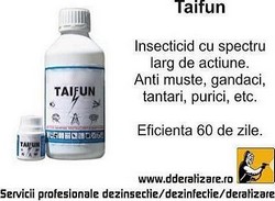 Taifun insecticid profesional