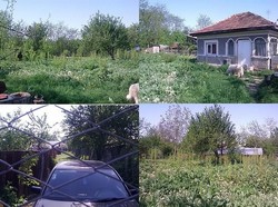 Casa cu teren 11000 mp Branistea-Titu, DB