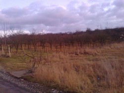 Vand in Dej 5000 mp teren