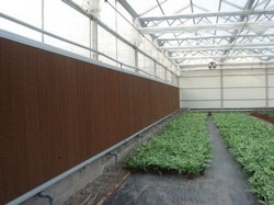 Sisteme ventilatie, racire si umiditate ciupercarii