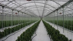 Agricultura Germania/Austria 1200 Euro
