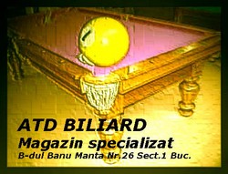Amenajari cluburi de biliard si spatii de agrement