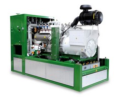 Cogenerare pe biogaz cu B-Team Energy and Environment!   