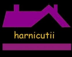 Constructii - Renovari case, apartamente, vile