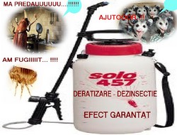 Dezinsectie, curatenie Bucuresti