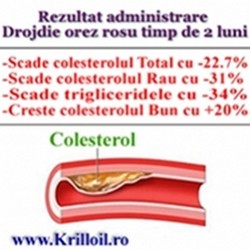 Drojdie de orez rosu Scade colesterolul rau