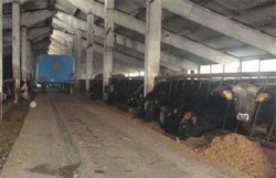 Ferma de animale DE VANZARE, populata sau nepopulata – PUCHENI-Prahova
