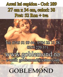 Goblen Oradea modele portrete