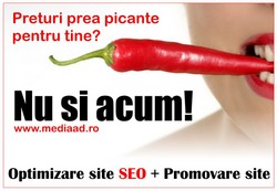 Optimizare SEO | Promovare site 