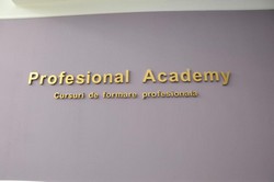 Profesional Academy Organizeaza Cursuri De Coafura Oradea