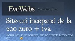 Realizare Website Profesional