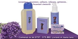 SAPUN NATURAL COLDINAVA DIN ULEI ESENTIAL DE LAVANDA!!!