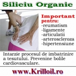 Siliciu Organic pentru dureri articulatii