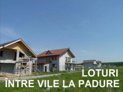 Terenuri la Padure în Tartasesti