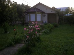 Urgent Casa in Balotesti