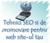 Web design ,Optimizare SEO ,Publicare anunturi