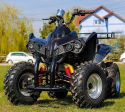 ! OFERTE SPECIALE DE PASTE ! Atv Nitro Motors Akp Warrior 150cmc Cutie CVT Automat
