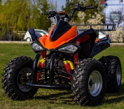 ! OFERTE SPECIALE DE VARA ! Atv Nitro Motors Akp Carbon Speedy