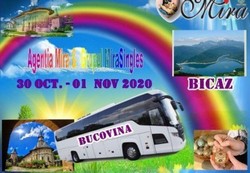 Matrimoniale Mira – experienta, profesionalism si seriozitate