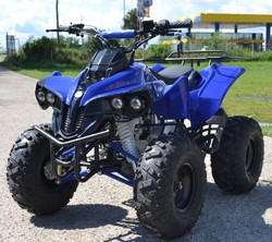 ATV WARRIOR LED 3G M8