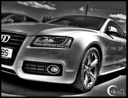 servicii de intretinere si reparatie a marcilor Volkswagen, Audi, Skoda si Seat.