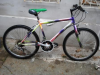biciclete germania de vanzare