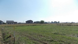 Loturi in Berceni Ilfov