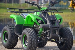 ATV GRIZZLY XXL, M8