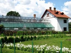 hale si sere germania 1200 euro