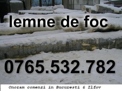 DEPOZIT LEMN DE FOC
