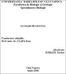 REALIZEZ LUCRARI DE LICENTE, LUCRARI DE DISERTATIE, LUCRARI DE GRADUL I, PROIECTE SI REFERATE