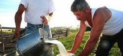 munca in gospodarie Germania