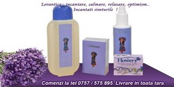 DEODORANT NATURAL DIN LAVANDA COLDINAVA!