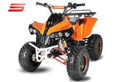 Atv 125Cc Warrior Deluxe