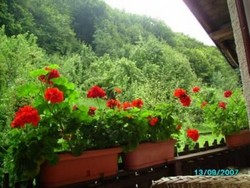 Cazare Sovata