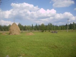 teren de vanzare vatra dornei