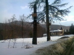 Teren langa Sinaia ideal pentru investitii imobil