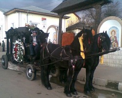 TRANSPORT FUNERAR