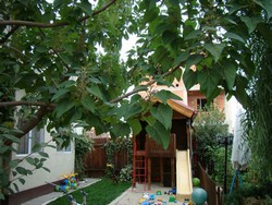 Vand vila Berceni IMGB Dimitrie Leonida